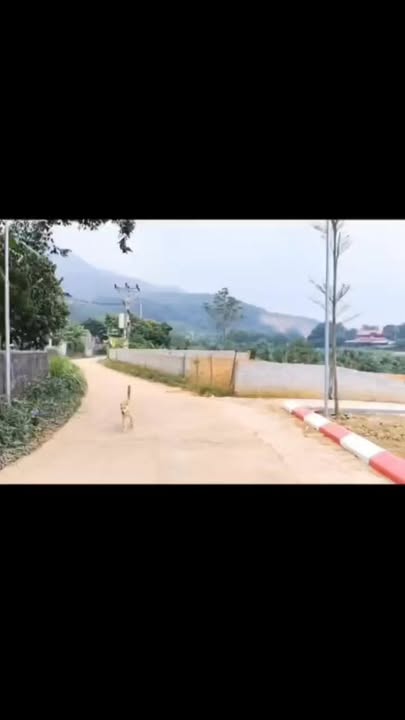 Đất nền xã Tu Vũ, huyện Thanh Thủy 113m² giá chỉ 600 triệu - Đường ô tô rộng rãi!