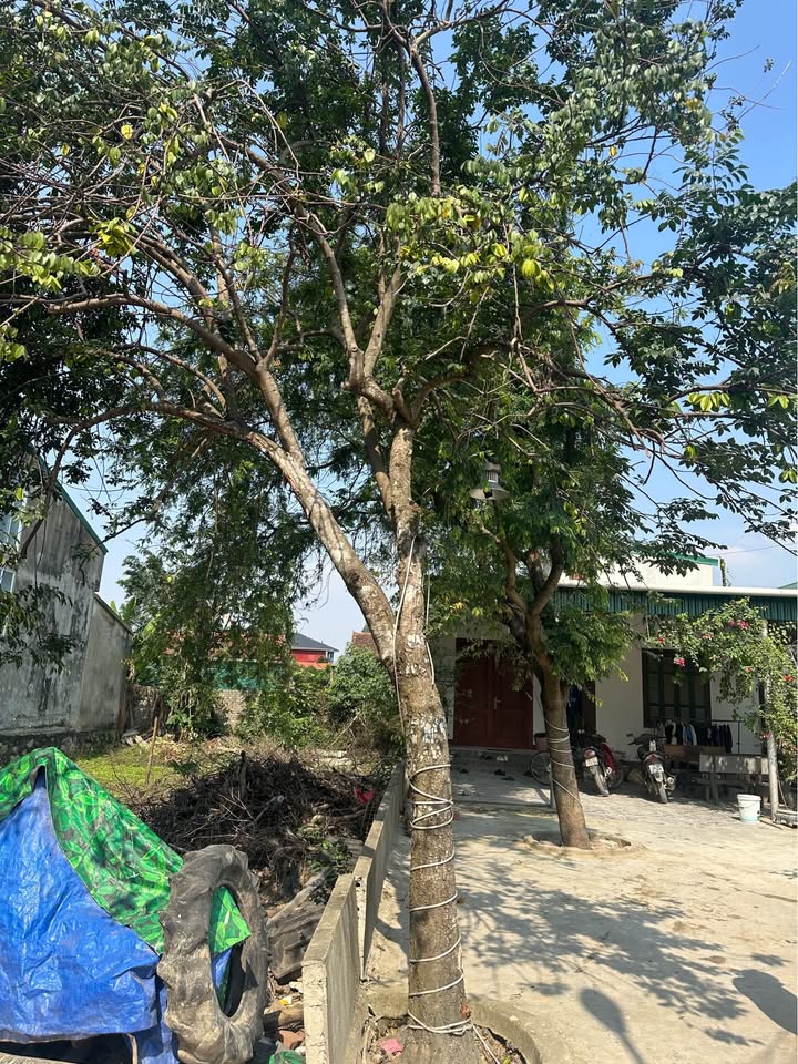 Đất Hưng Lộc 72.8m² giá 2.18 tỷ - 3 mặt tiền đẹp, đầu tư sinh lời!