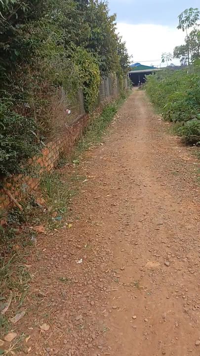 Đất nền 1000m² tại Xã Ea H'đinh, Huyện Cư M'gar - Giá chỉ 750 triệu