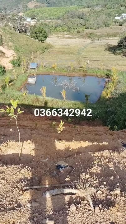 Đất nông nghiệp Đam Rông 12000m² giá 1.2 tỷ - Cơ hội đầu tư hấp dẫn!