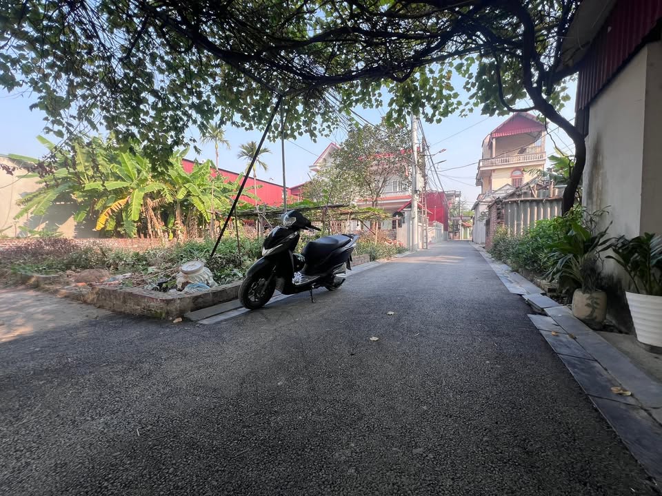 Đất nền Phúc Thịnh, Đông Anh 60m² giá 4 tỷ - Tiện ích đa dạng ngay cửa!