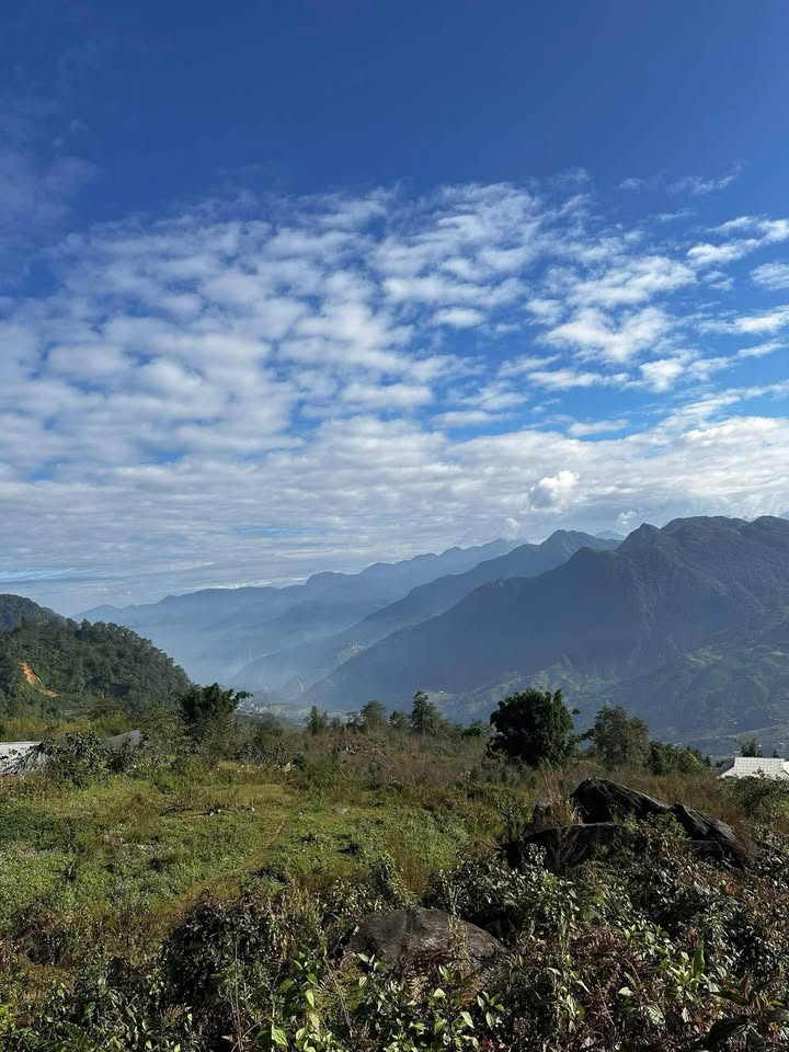 Đất thổ cư Hầu Thào, Sa Pa 1000m² - Giá đầu tư siêu hấp dẫn!