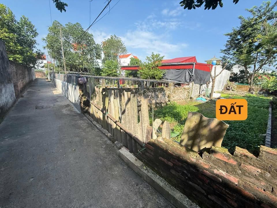 Đất nền Chương Dương Thường Tín 112,5m² giá 3 triệu - Sổ đỏ sẵn sàng giao dịch!