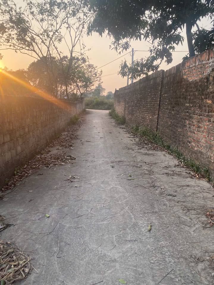 Đất nền thôn Giếng Mát, xã Hướng Đạo 100m² chỉ 400 triệu - Đầu tư sinh lời ngay!