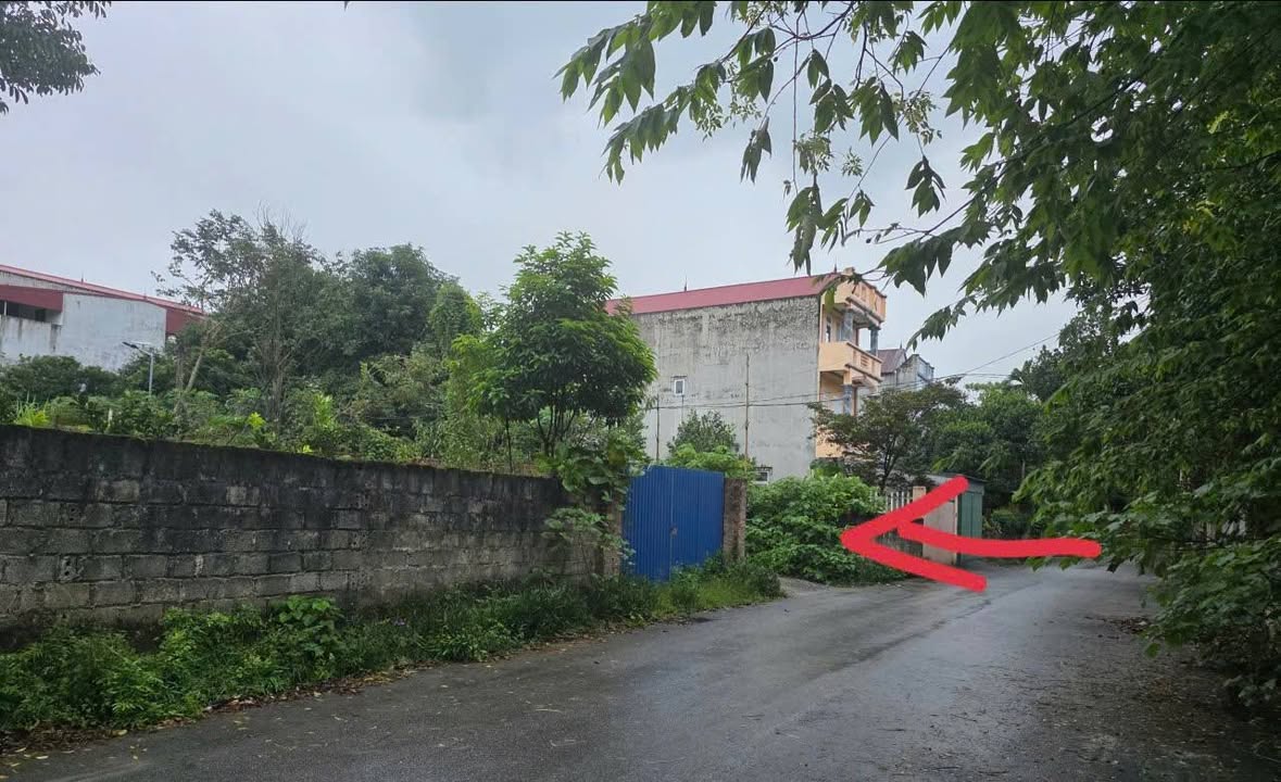 Kho bãi cho thuê tại Cầu Bút Định Trung 200m² - Phù hợp làm xưởng