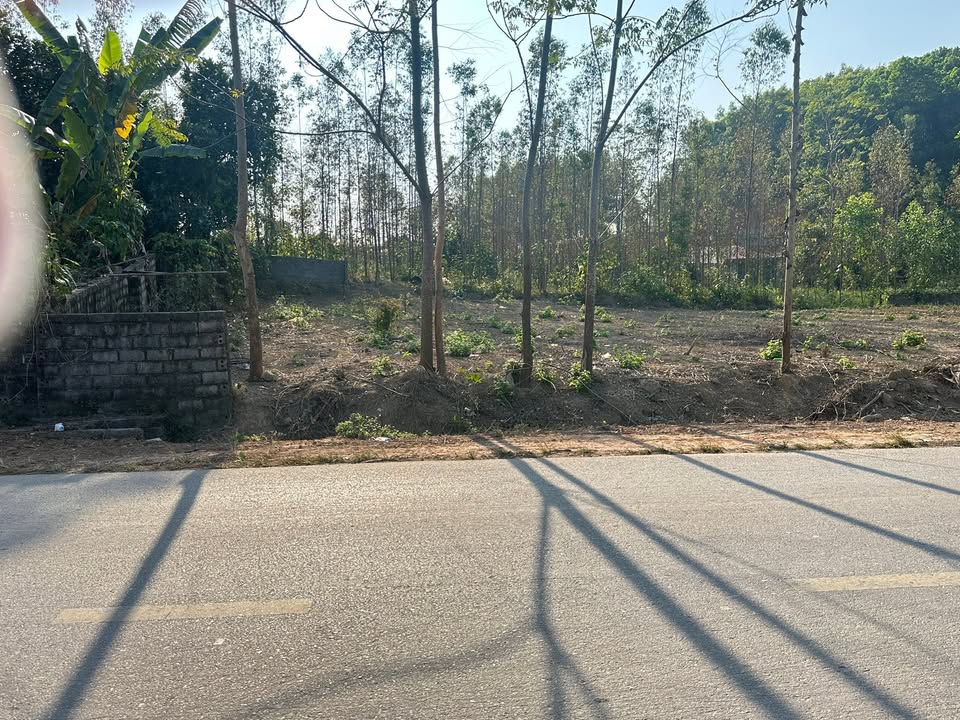 Đất thổ cư 260m² mặt tiền 10m tại Xuân Lương, Yên Thế - Chỉ 1 tỷ!