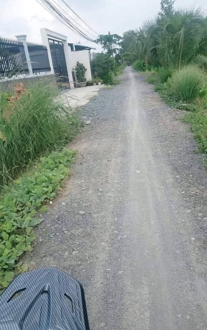 Bán nhà vườn ấp 9 Lương Hòa 2 phòng ngủ 2615m² giá 5.5 tỷ - Đầu tư lý tưởng!