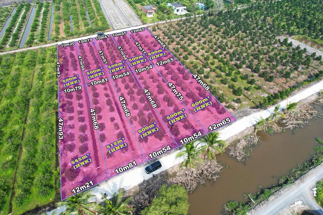 Đất nền 500m² xã Bình Đức - Bến Lức - Giá chỉ 650 triệu - Đầu tư tiềm năng!