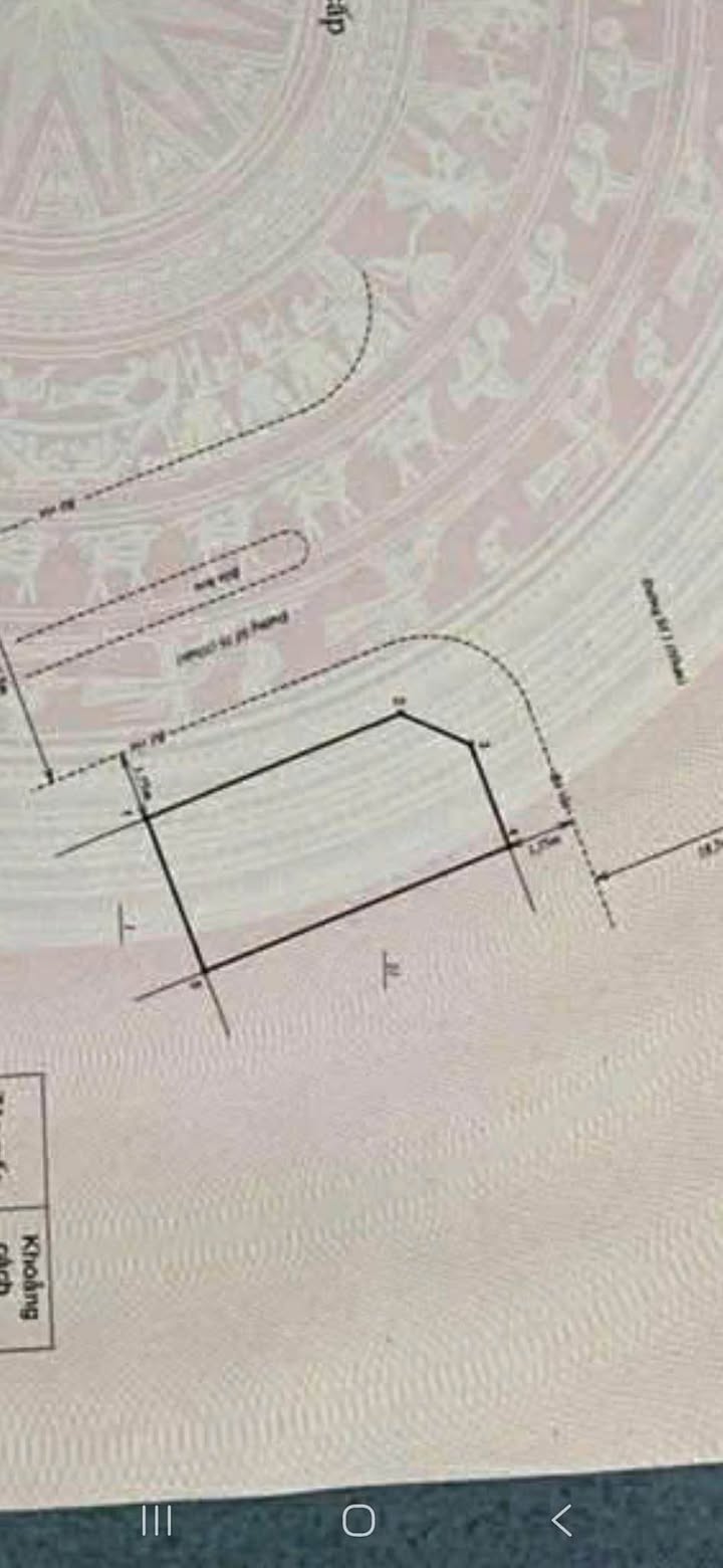 Đất Lô Góc Đại Phú Gia Quy Nhơn 157m² giá 9.5 tỷ - Cơ hội đầu tư hấp dẫn!