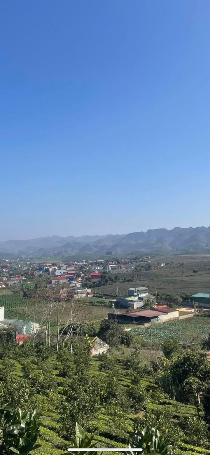 Đất thổ cư 156m² Tổ Dân Phố Tiến Tiến, Phường Vân Sơn - Đầu tư sinh lời hấp dẫn!