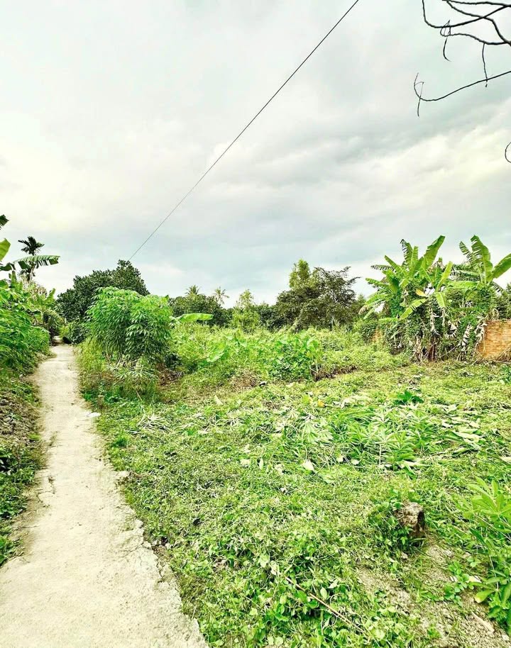 Đất nền xã Giai Xuân 87m² giá 430 triệu - Cơ hội đầu tư gần chợ!