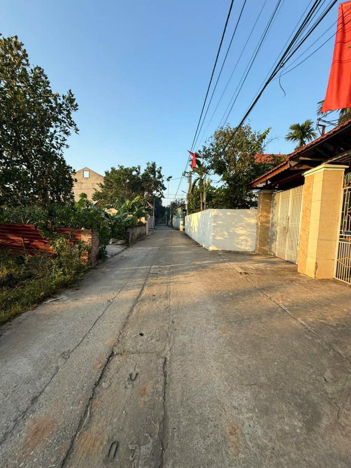 Lô đất 112m² tại Chu Phan, Mê Linh - Giá chỉ từ 20 triệu - Tiềm năng phát triển lớn!