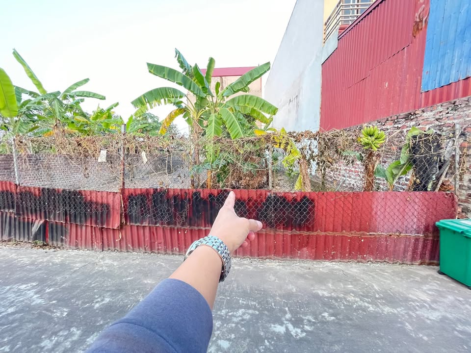 Lô đất 99m² Thế Trạch, Mai Đình, Sóc Sơn - Giá chỉ 3 tỷ, đầu tư sinh lời!