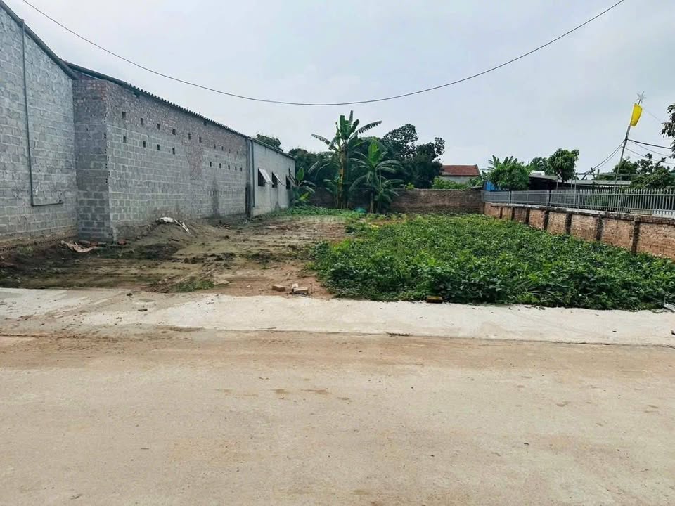 Đất nền Xã Hùng Cường 310m² giá 4.5 tỷ - Đường ô tô tránh nhau, phù hợp xây dựng kho xưởng!