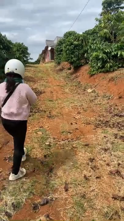 Đất nền 3ha7 Xã Đan Phượng, Huyện Lâm Hà - Cơ hội đầu tư sinh lời!