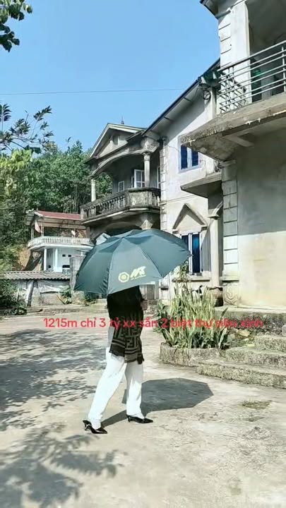 Đất nền lô góc 1251m² tại Cao Dương, Lương Sơn, Hòa Bình - Giá chỉ 3 tỷ!