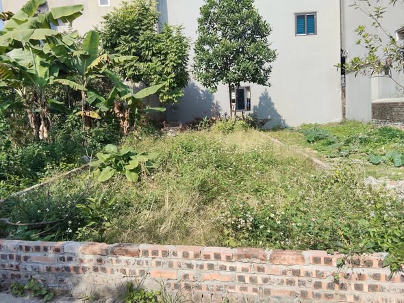 Đất nền Hoài Trung, Liên Bão, 85m² giá 1.x tỷ - Cơ hội đầu tư không thể bỏ lỡ!