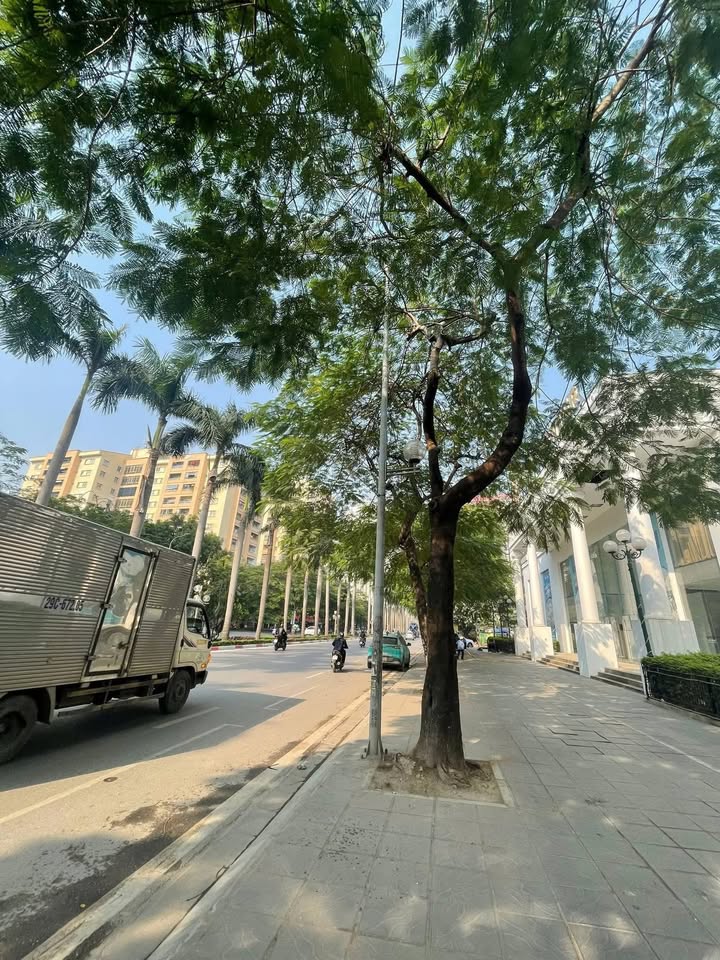 Đất đấu giá Lê Đức Thọ 1.520m² giá 4xx tỷ - Vị trí đắc địa cho đầu tư sinh lời!