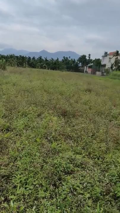 Đất nền tại Huyện Nghĩa Hành, Quảng Ngãi 279m² giá 8.1 tỷ - Sổ hồng chính chủ, gần chợ!