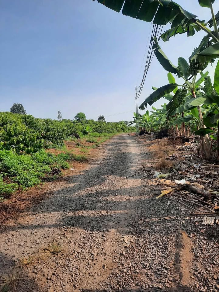 Đất nền 1 mẫu tại xã Gia Kiệm, huyện Thống Nhất - Giá chỉ 2 tỷ!