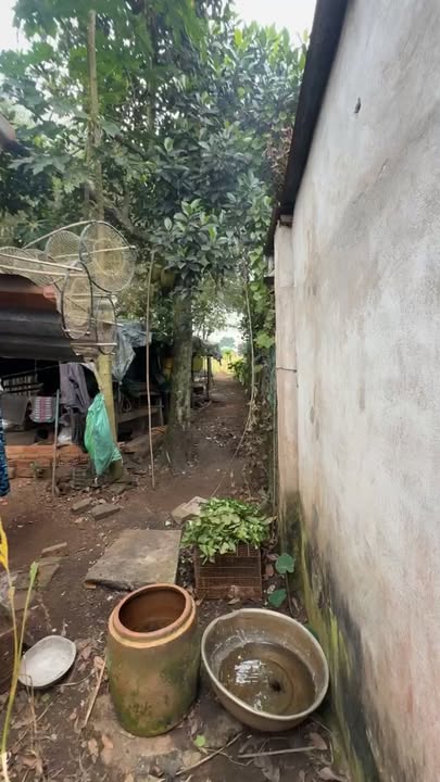 Đất nền xã An Viễn, huyện Trảng Bom 1234m² giá 3 tỷ - Tiềm năng đầu tư lớn!