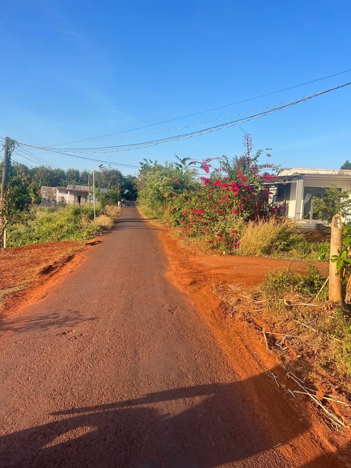 Đất nền ấp 7 Lộc An, Lộc Ninh, Bình Phước 1200m² - Giá chỉ 290 triệu