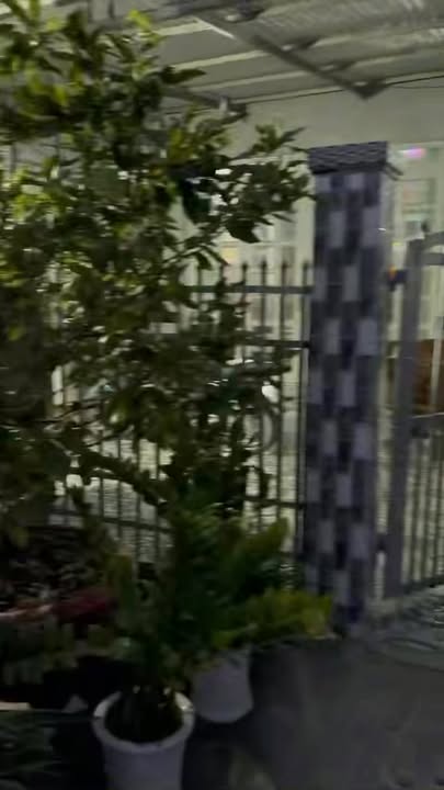 Đất nền Tân Thành B, Đồng Tháp 154m² giá 650 triệu - Cơ hội đầu tư sinh lời!