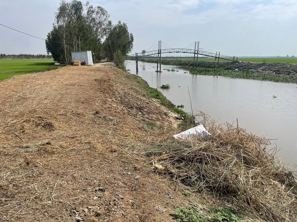 Đất nền kinh doanh tại xã Hoà Bình, huyện Tam Nông, Đồng Tháp 53,000m² - Cơ hội đầu tư hấp dẫn!