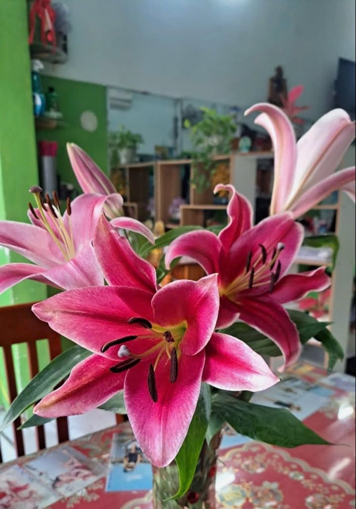 Nhà cho thuê tại Bà Điểm, Hóc Môn 56m² giá chỉ 4.5 triệu - Nhà mới sơn sửa, hẻm thông thoáng!