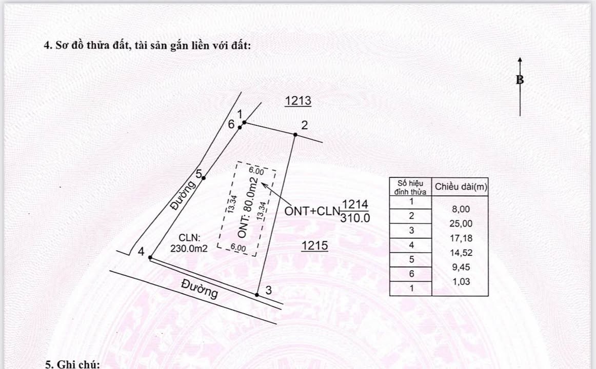 Đất nền 2 mặt tiền xã Bình Sơn, Lục Nam 300m² giá chỉ 400 triệu - Đầu tư sinh lời ngay!
