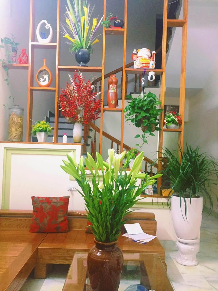 Căn hộ Green City Bắc Giang 56m² giá 1.9 tỷ - Full nội thất đẹp, sẵn sàng vào ở!