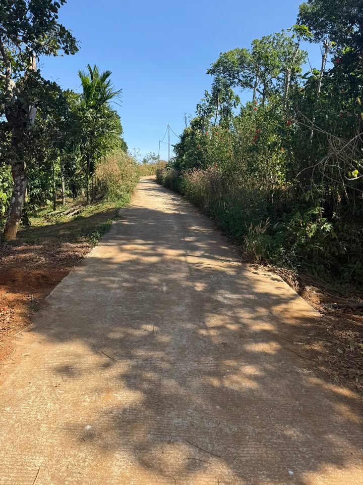 Đất nền tại Xã Đắk Wer, Huyện Đắk R'Lấp 9000m² giá 380 triệu - Đầu tư sinh lời!