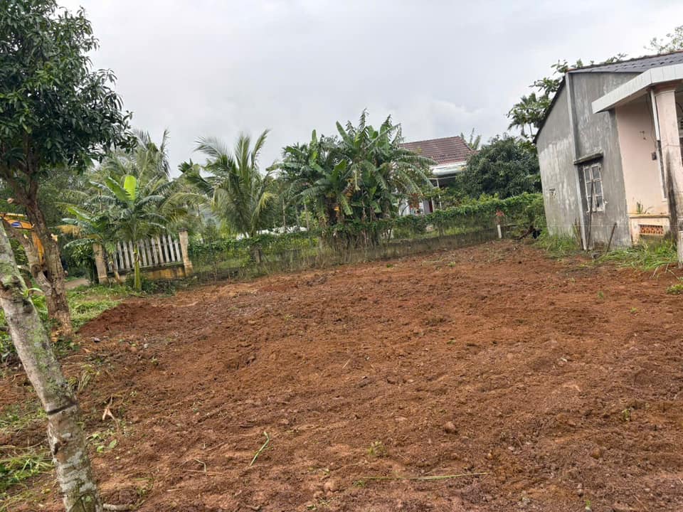 Đất nền Bình Trị 250m² giá 590 triệu - Sổ hồng chính chủ, đầu tư lý tưởng!