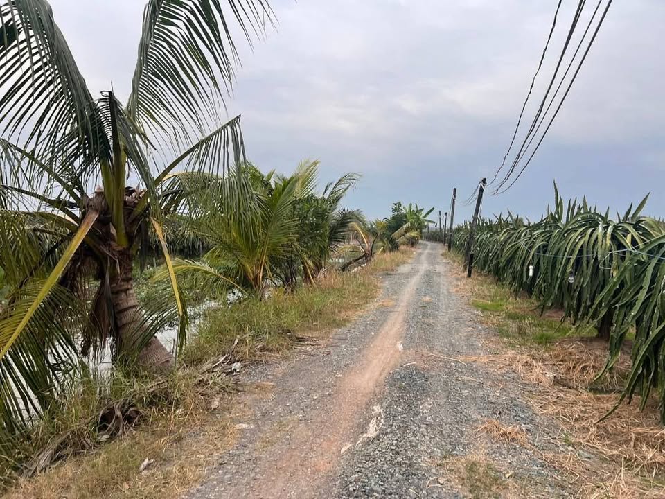 Đất nền ấp 5 Phước Tân Hưng 132m² giá 370 triệu - Sổ hồng riêng, pháp lý rõ ràng!