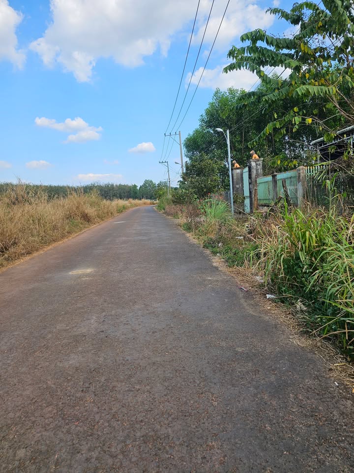 Đất nền 800m² xã Tân Hưng, huyện Đồng Phú - Giá chỉ 1.2 tỷ, thổ cư 100%!