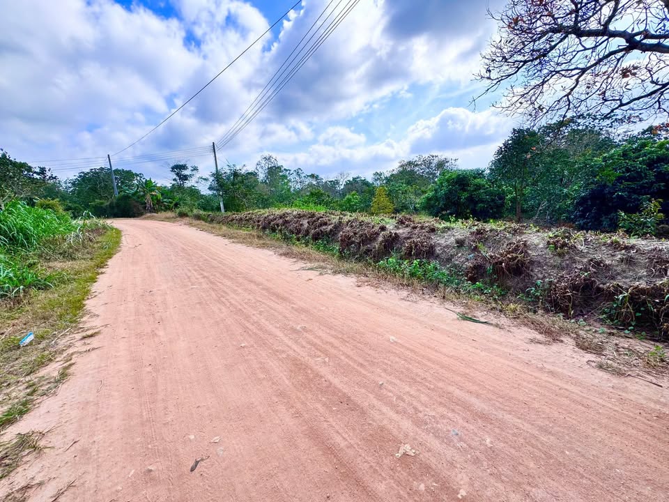 Đất nền thổ cư 156m² tại xã Cư Ni, huyện Ea Kar - Đường rộng 8m, giá chỉ 185 triệu