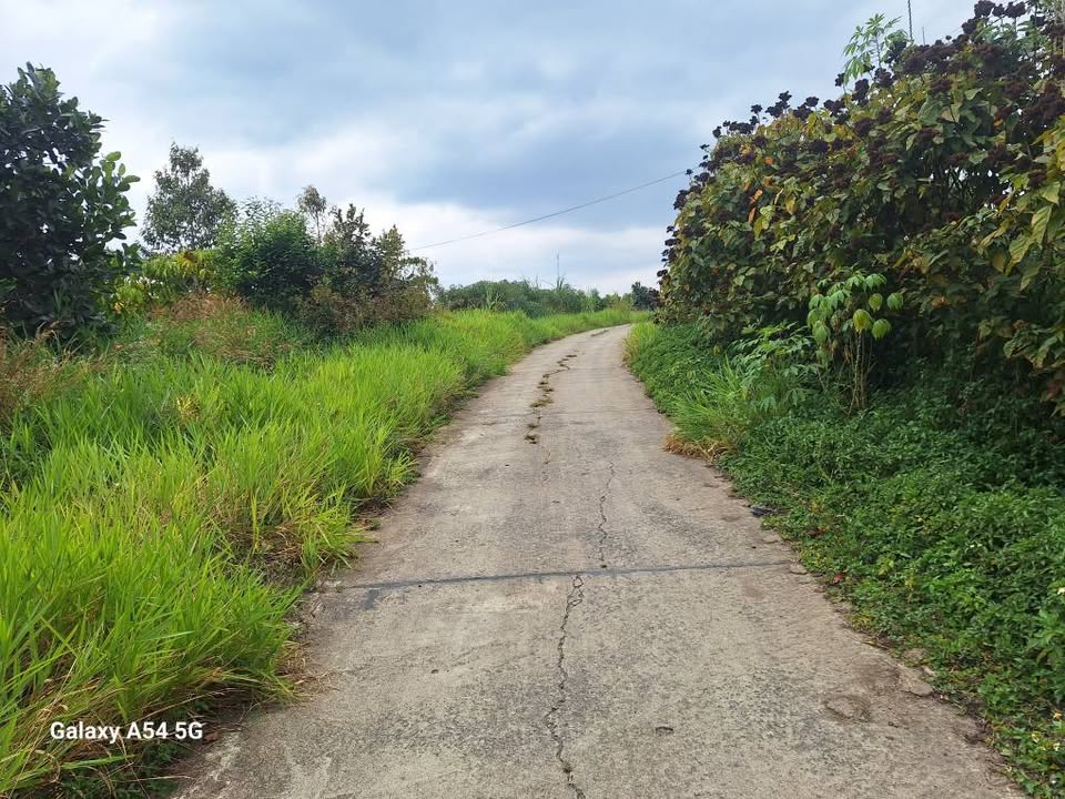 Đất thổ cư 4.800m² tại Hòa Nam, Di Linh - Giá chỉ 3.2 tỷ VND!