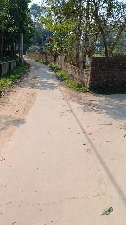 Đất nền 900m² Đô Tân, Bắc Sơn chỉ 300 triệu - Cơ hội đầu tư hấp dẫn!