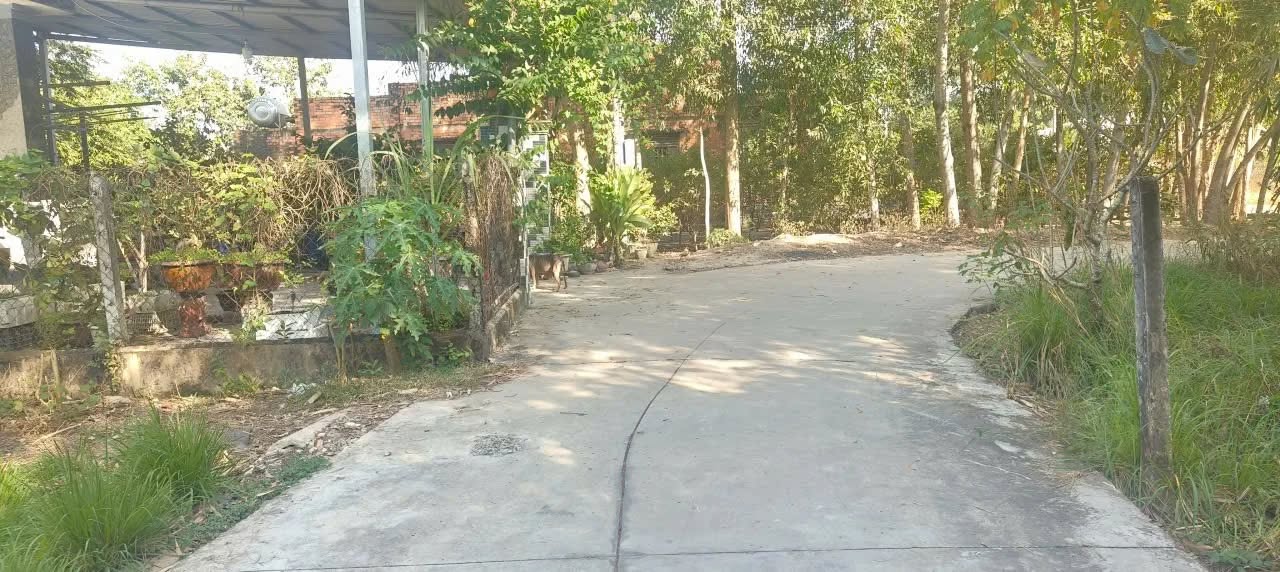 Đất thổ cư 140m² tại KCN Hiệp Thạnh, Tây Ninh giá chỉ 420 triệu - Đầu tư sinh lời tuyệt vời!