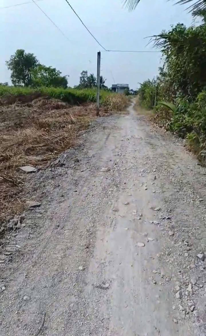 Đất nền Ấp 6 Nhựt Chánh, Bến Lức, Long An 100m² giá 480 triệu - Cơ hội đầu tư hấp dẫn!