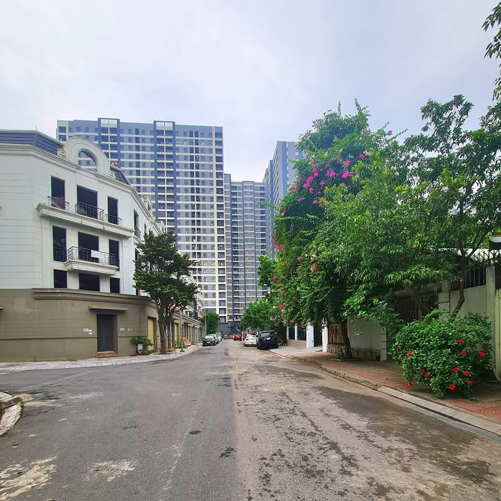 Shophouse Trâu Quỳ 77m² giá 20 tỷ - Vị trí đắc địa nhất Gia Lâm!