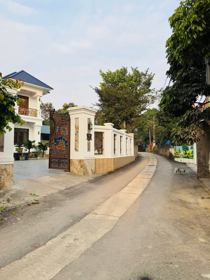 Đất nền đẹp ngay Hồ Văn Trí, Thị trấn Hợp Hòa 226m² giá chỉ 3 tỷ - Cơ hội đầu tư tuyệt vời!