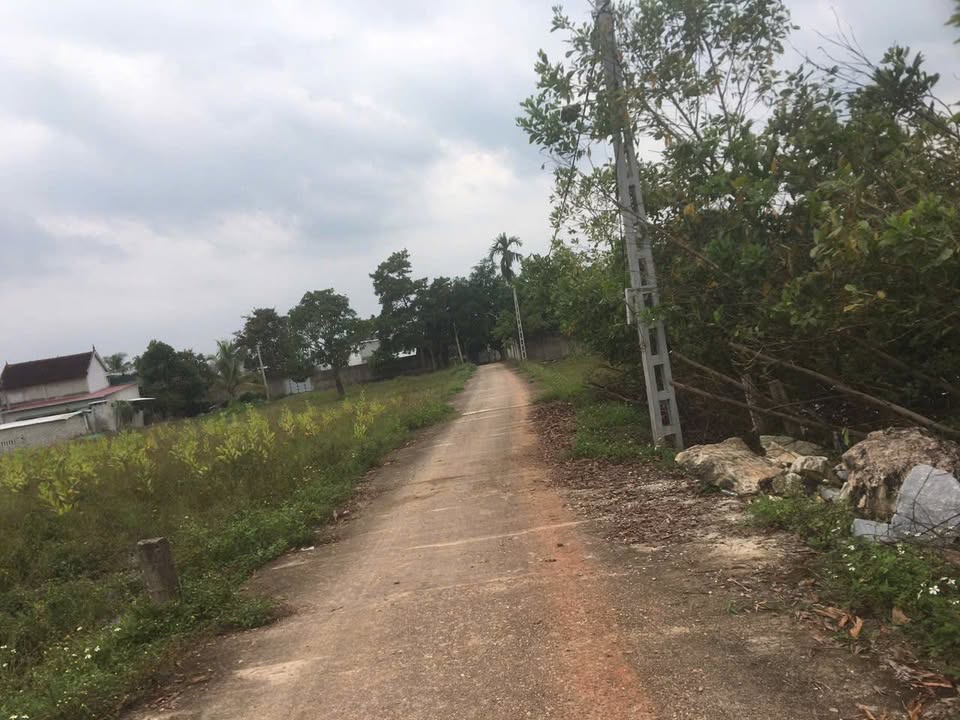 Đất nền Xã Tam Hợp 178m² giá chỉ 400 triệu - Cơ hội đầu tư hấp dẫn!