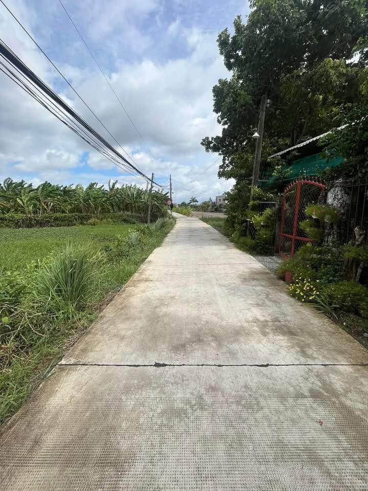 Đất vườn 542m² tại Xã Bình Tâm, Tân An - Giá chỉ 2.5 tỷ, thương lượng ngay!