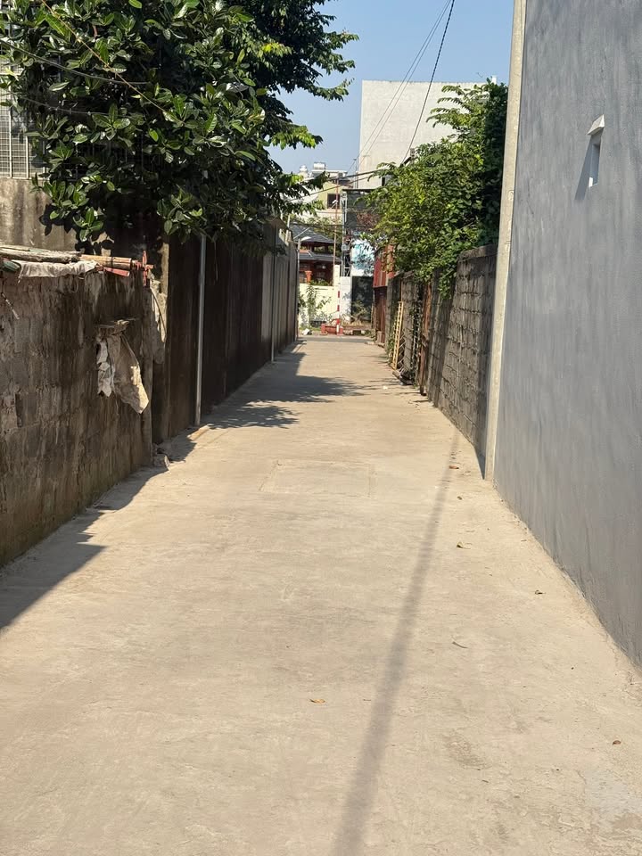 Nhà riêng tại phường Trần Lãm 45m² giá 3 tỷ - Vị trí đẹp gần trung tâm!