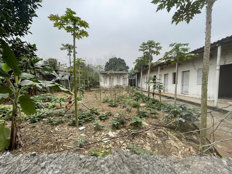 Đất đầu tư tại xóm 22, Liên Sơn, Hòa Bình 428m² - Giá chỉ 4 tỷ!