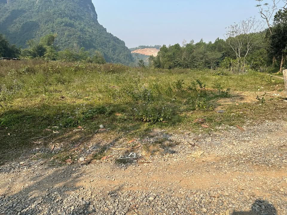 Đất nền Tân Vinh, Lương Sơn, Hòa Bình 4464m² giá 2 triệu/m² - Cơ hội đầu tư hấp dẫn!