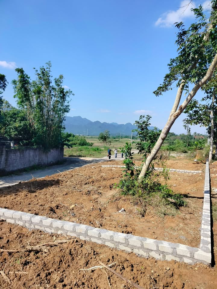 Đất nền Yên Trị, Yên Thủy 125m² giá chỉ 390 triệu - Chính chủ bán gấp!