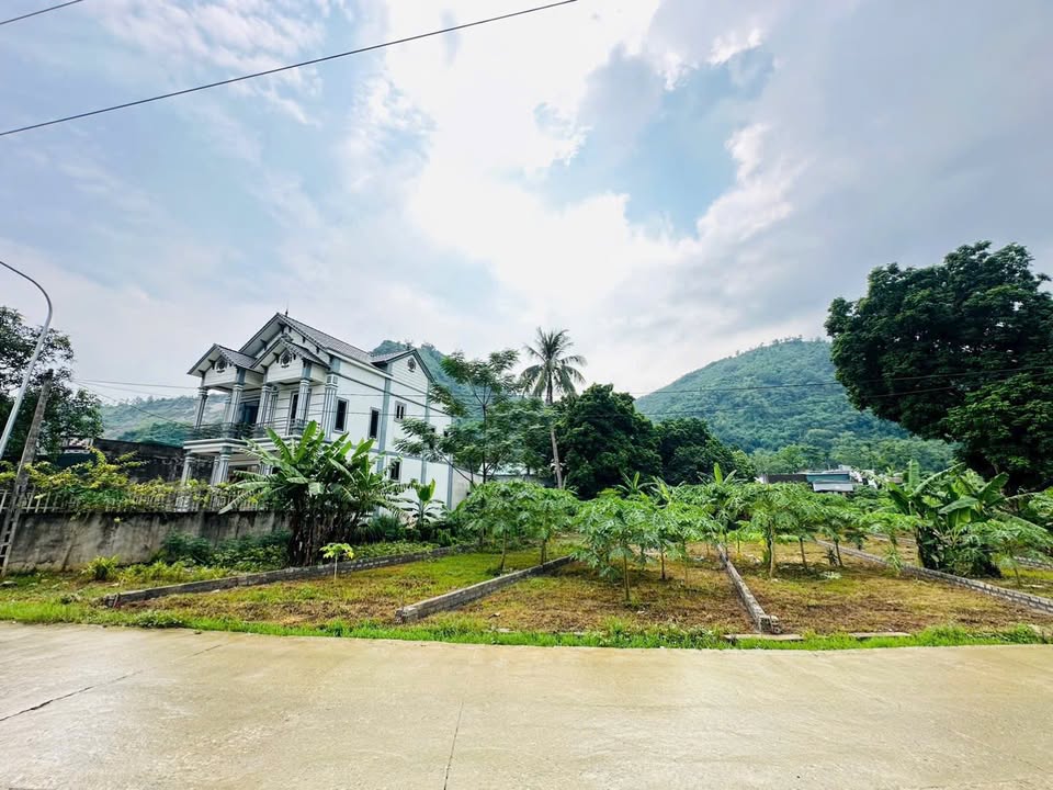 Đất mặt tiền liên xã Cư Yên, Lương Sơn, Hòa Bình 100m² chỉ từ 300 triệu - Đầu tư sinh lời ngay!