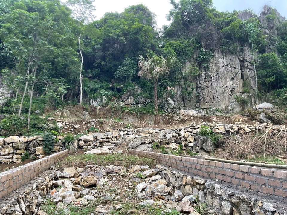 Đất thổ cư 87m² tại Thanh Sơn, Lương Sơn - Giá 750 triệu, cơ hội đầu tư sinh lời!